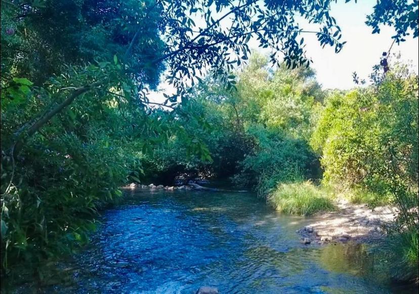 Alto De Torrecillas El Bosque Zewnętrze zdjęcie